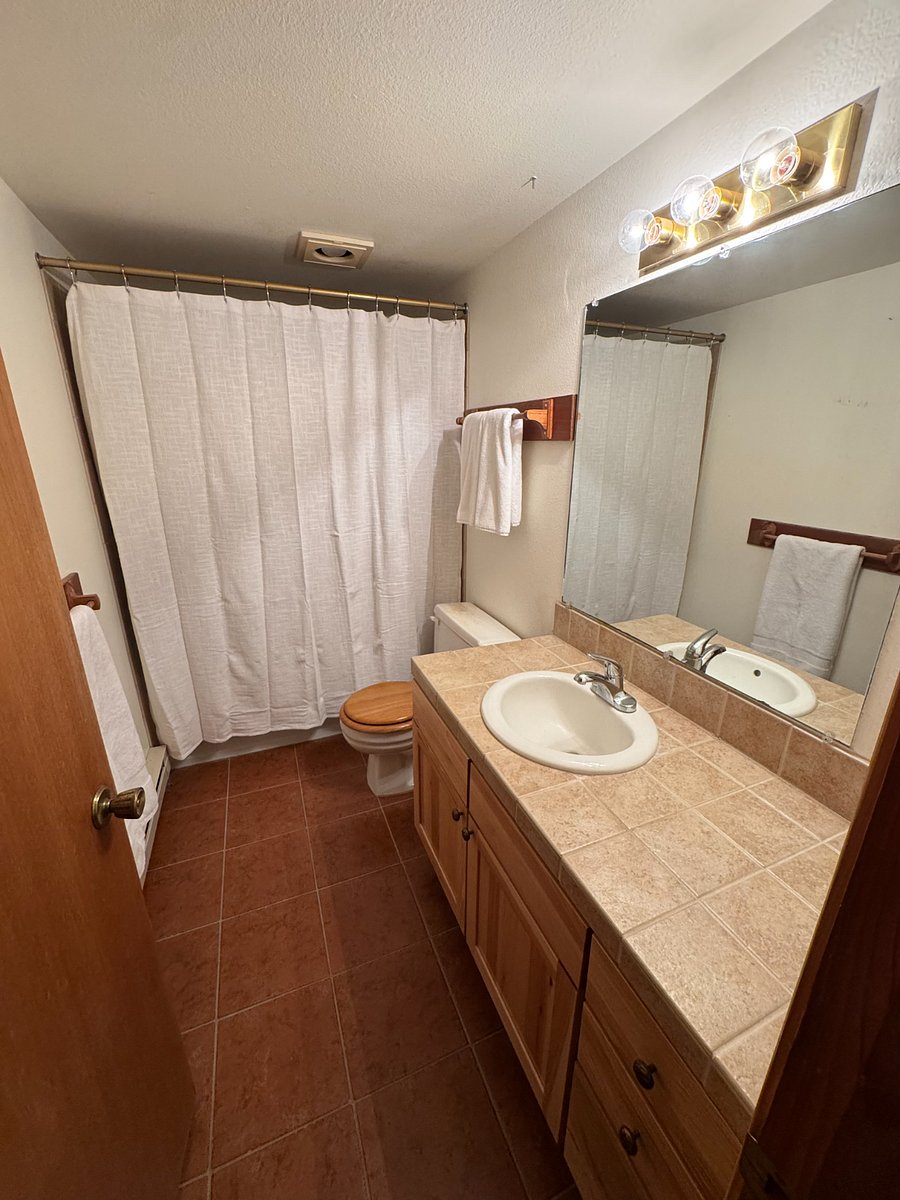 Downstairs Bathroom with tub/shower (new shower curtain)