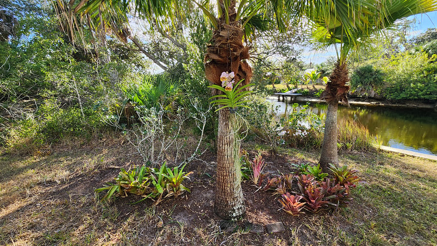 Beautiful Tropical Lanscaping with Salt Water Canal Waterfront!
