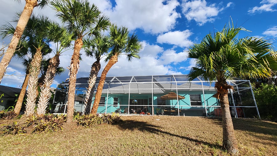 Beautifully maintained Tropical Palm Trees in the backyard!