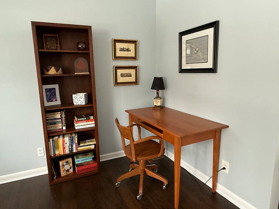 Work from home capabilities from this desk in the living room.