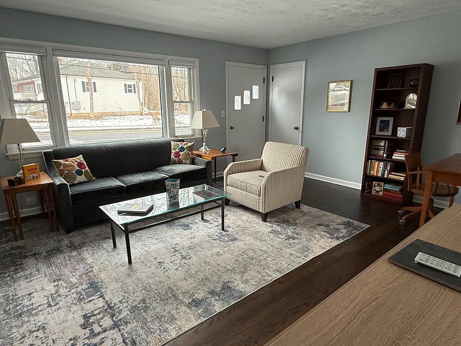 Living room with closet. Sofa pulls out to sleep two more.