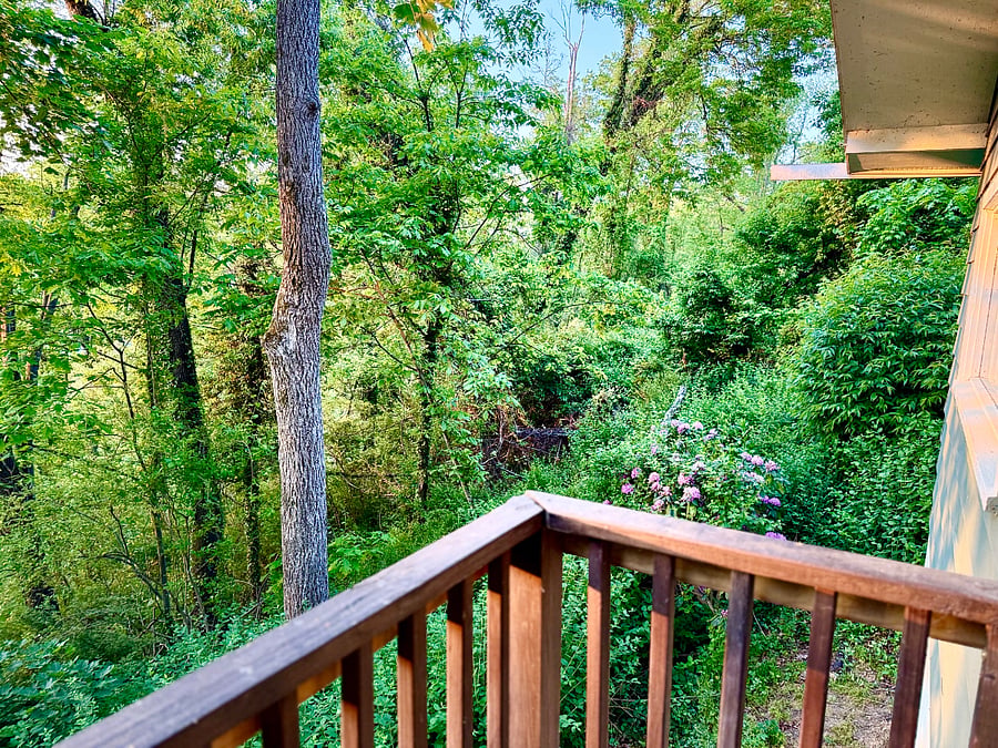 Side view from deck in spring/summer