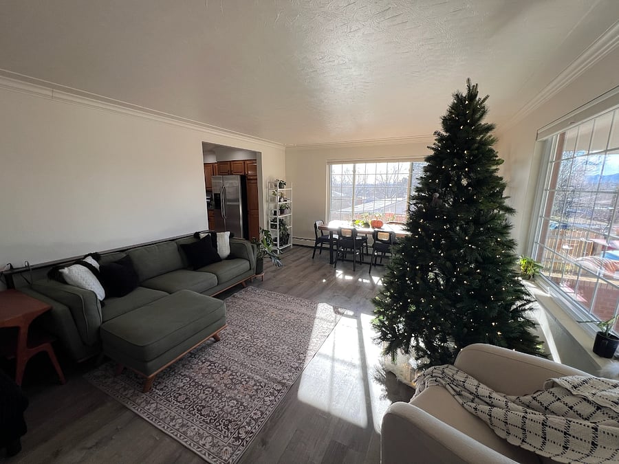 Living room also has a dining table.