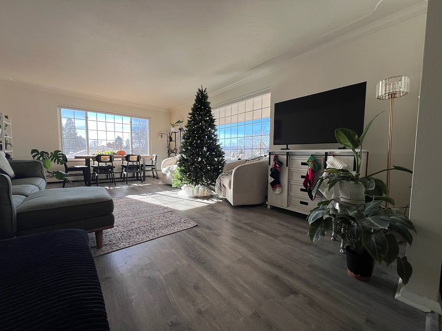 Shared living room upstairs, the light in this room is gorgeous. Hope you like plants!