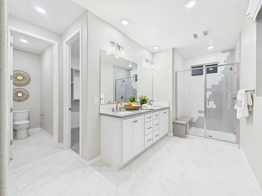 Master Suite Bathroom