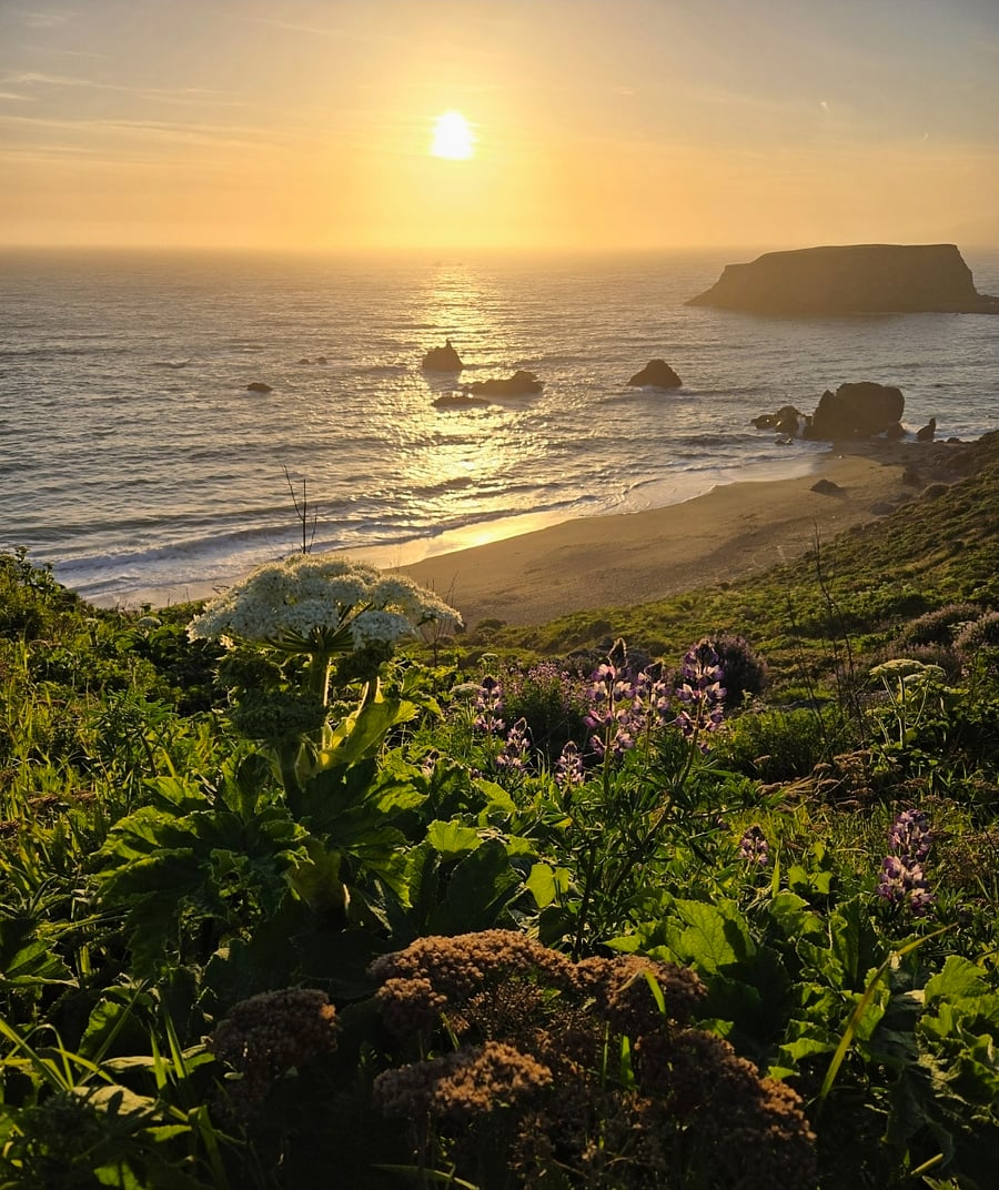 Sonoma County beaches and trails are as close as a 20 minute scenic drive westward along River Road. Catch the sunset, walk on the beach, hike the ridge trail, whale watch, picnic, visit tide pools.(photo is from trail to Blind Beach)
