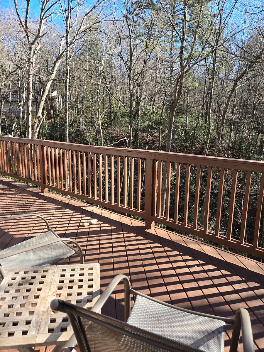 Large wooded lot