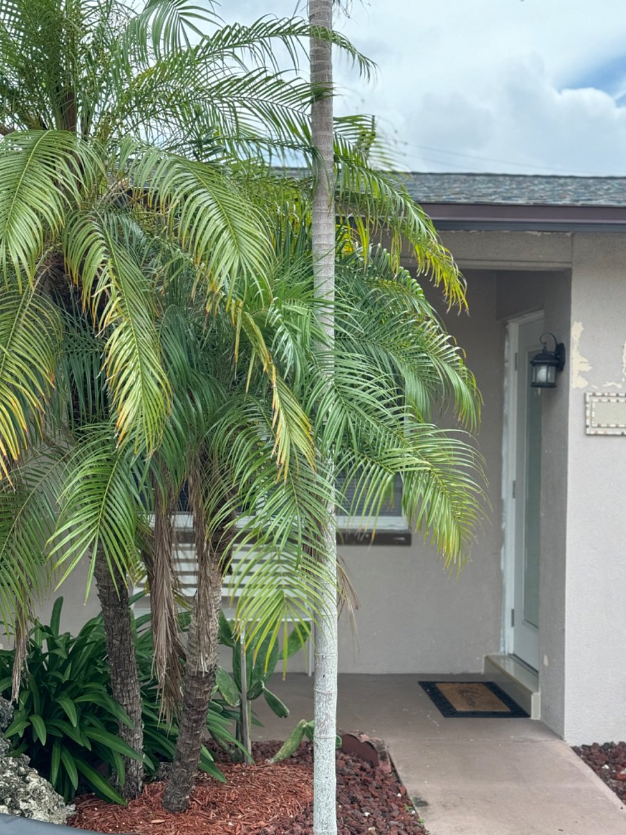 Furnished Finder property 949932_1 photo 9