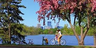 Minneapolis is considered one of the most bike-friendly cities in the US, with many paved trails and dedicated bike lanes available for recreation and commuting.