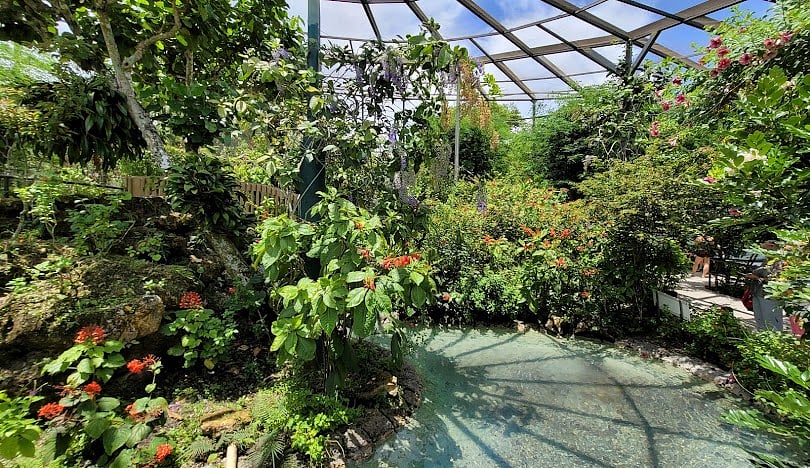 Short drive to Butterfly World