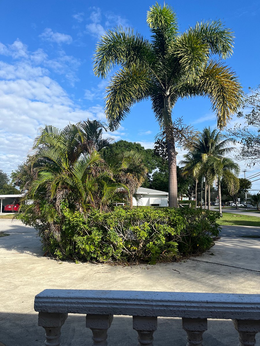 U-shaped driveway seen from front porch