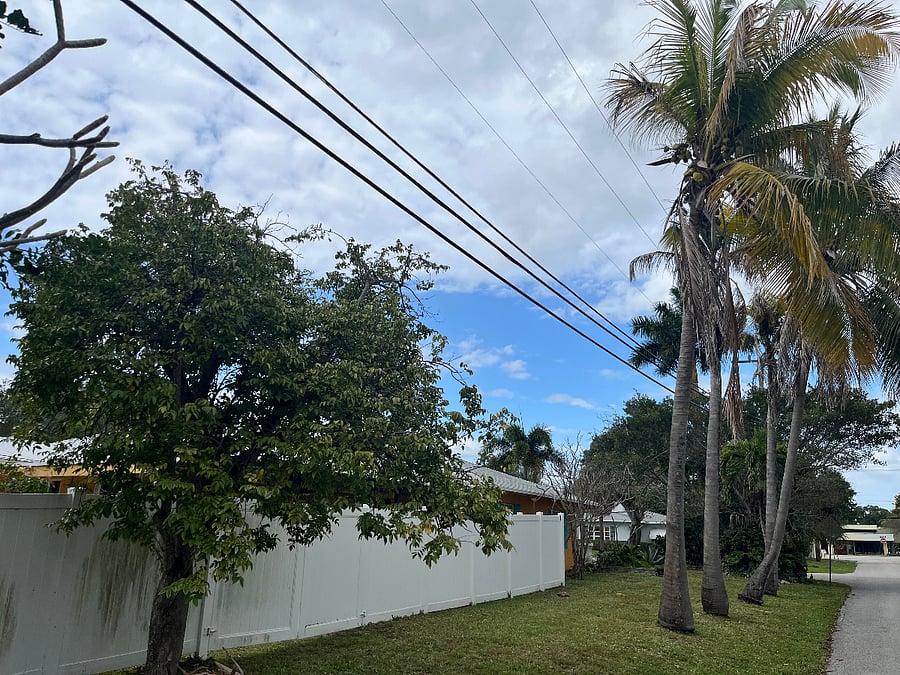 House is on a corner lot; here's a side view