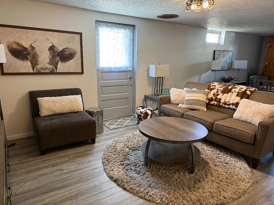 Large Family Room in basement, perfect for family gathering, game room, or movie night on large 65-inch smart TV.