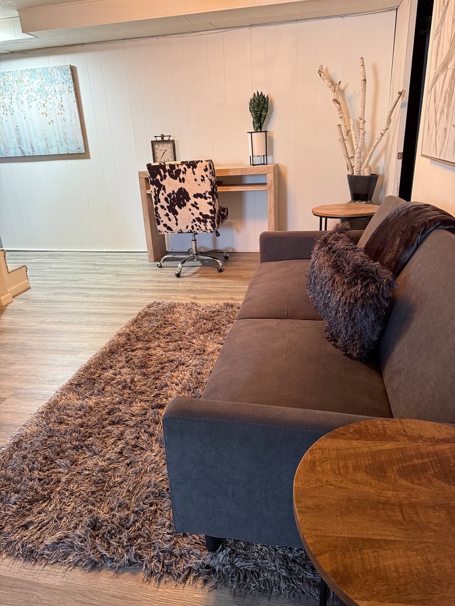 Futon Bed in Basement