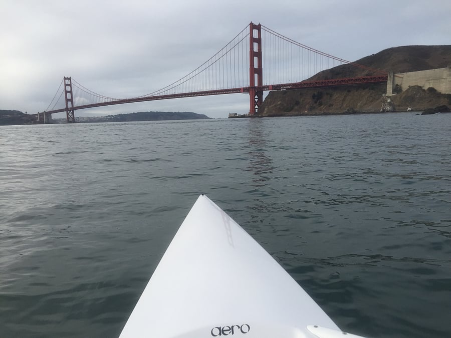 Go scullling on the Bay !!
