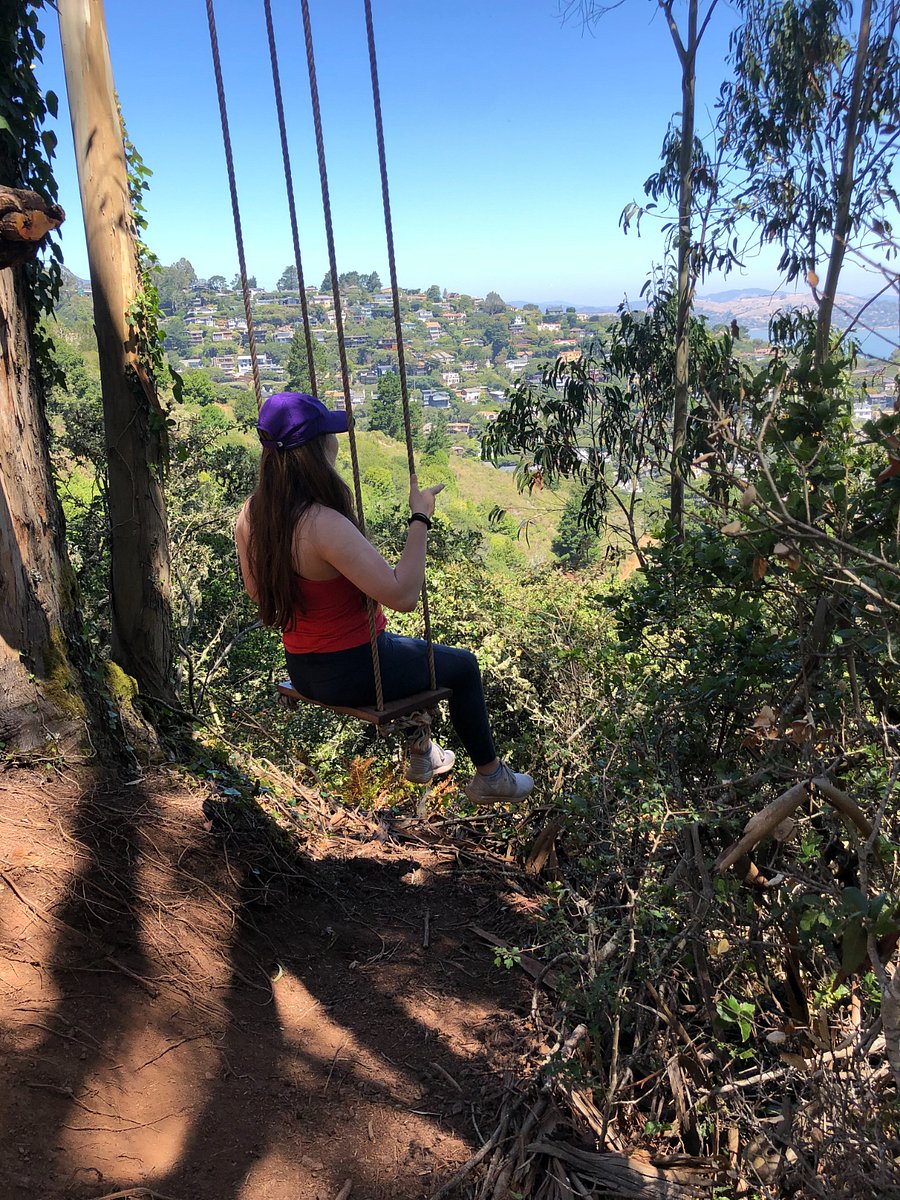 Just a short walk up the trail to the neighborhood swing ...