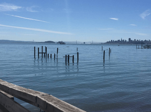 View from downtown Sausalito