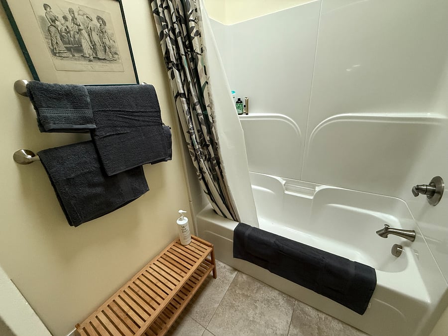 Main bathroom with lots of natural light