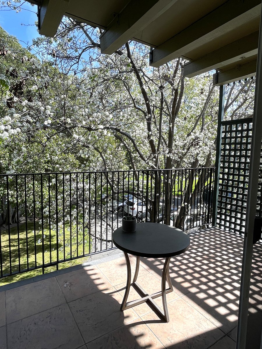 Furnished Finder property 950667_1 photo 9