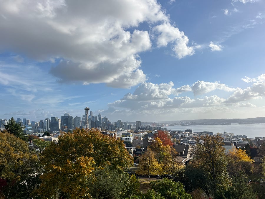 View from Kerry Park (10 minute walk)