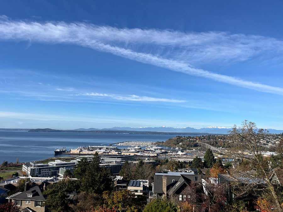 View from Betty Bowen park