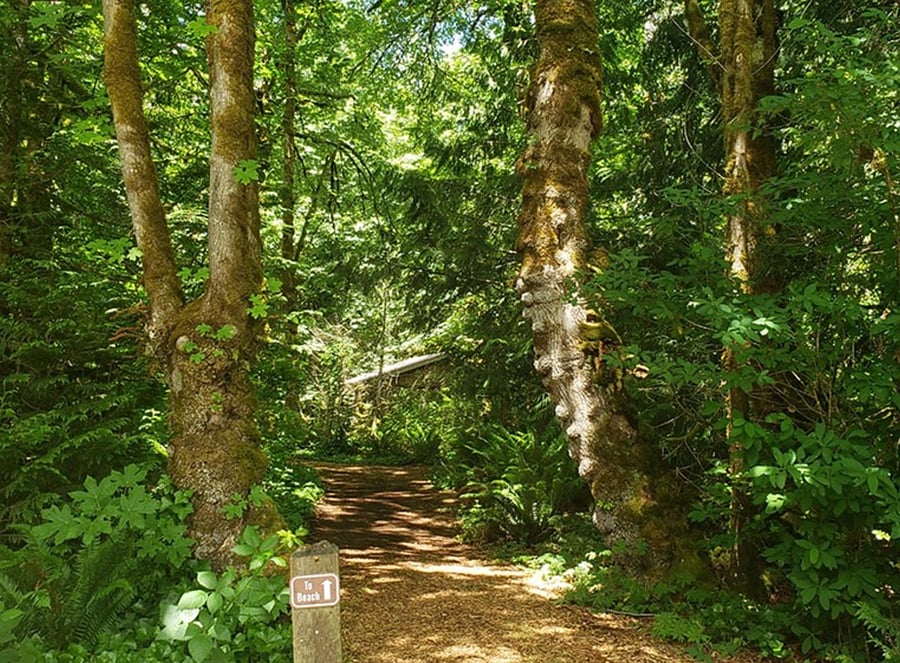 Local hiking trails lead to the Budd Bay