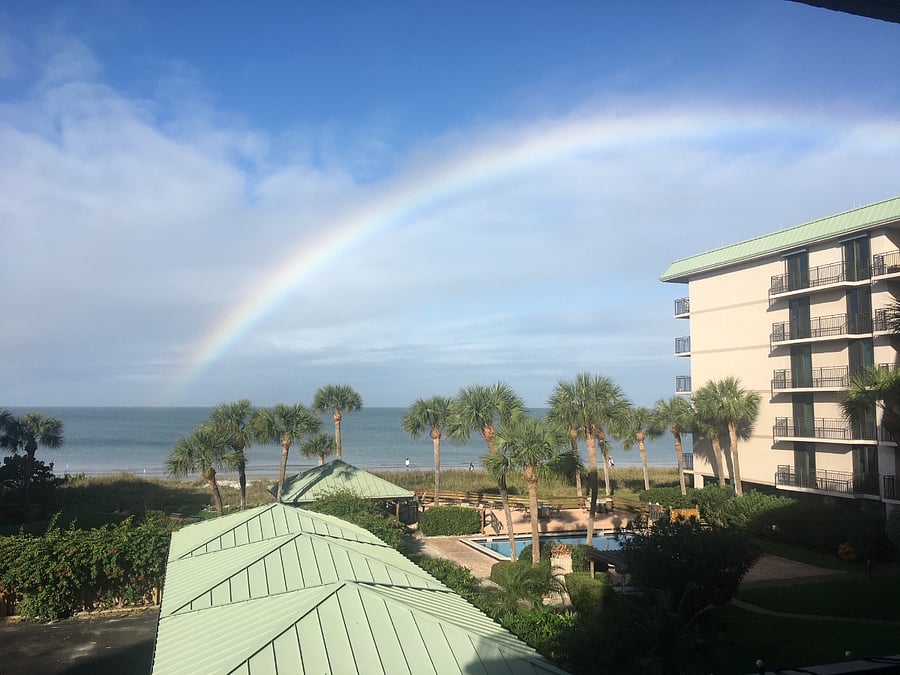 Balcony View 