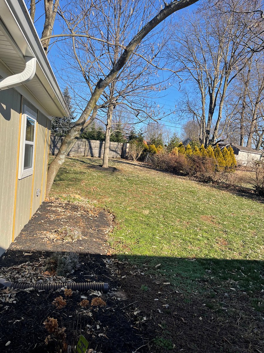 back yard- it also wraps around the workshop and is fenced in