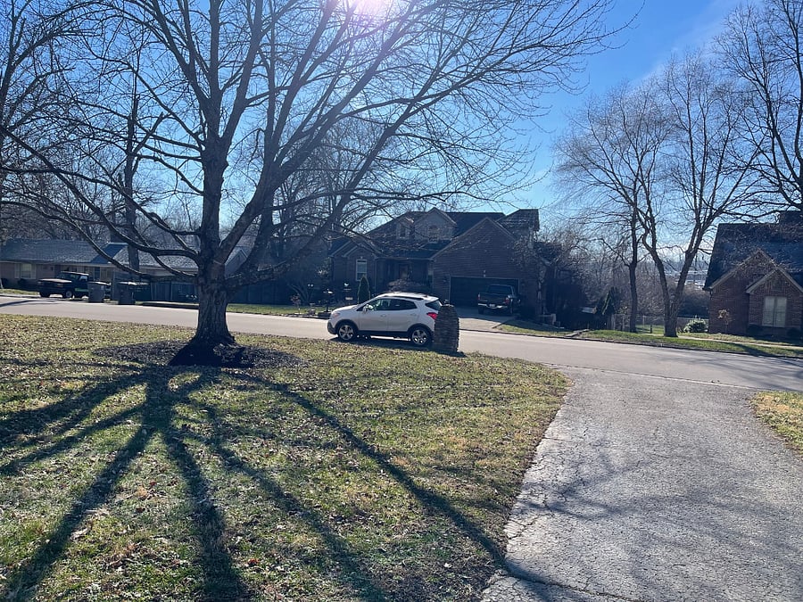 driveway and neighbors to left