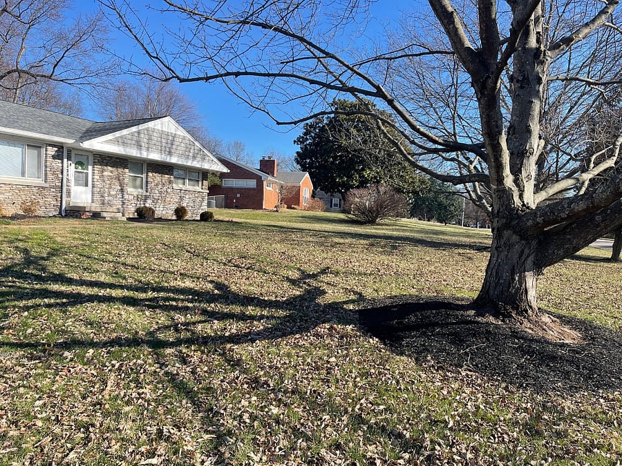 house view from driveway and immediate neighbor on the left