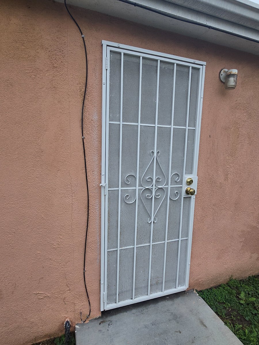 Security door