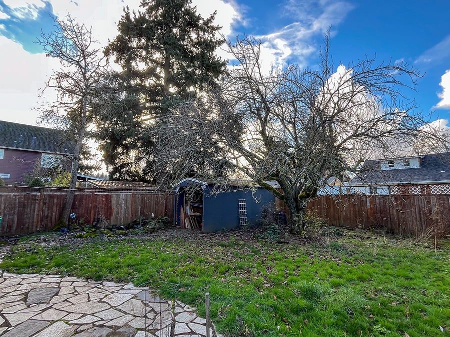 Fenced backyard with cherry tree (much prettier any other time than winter!)