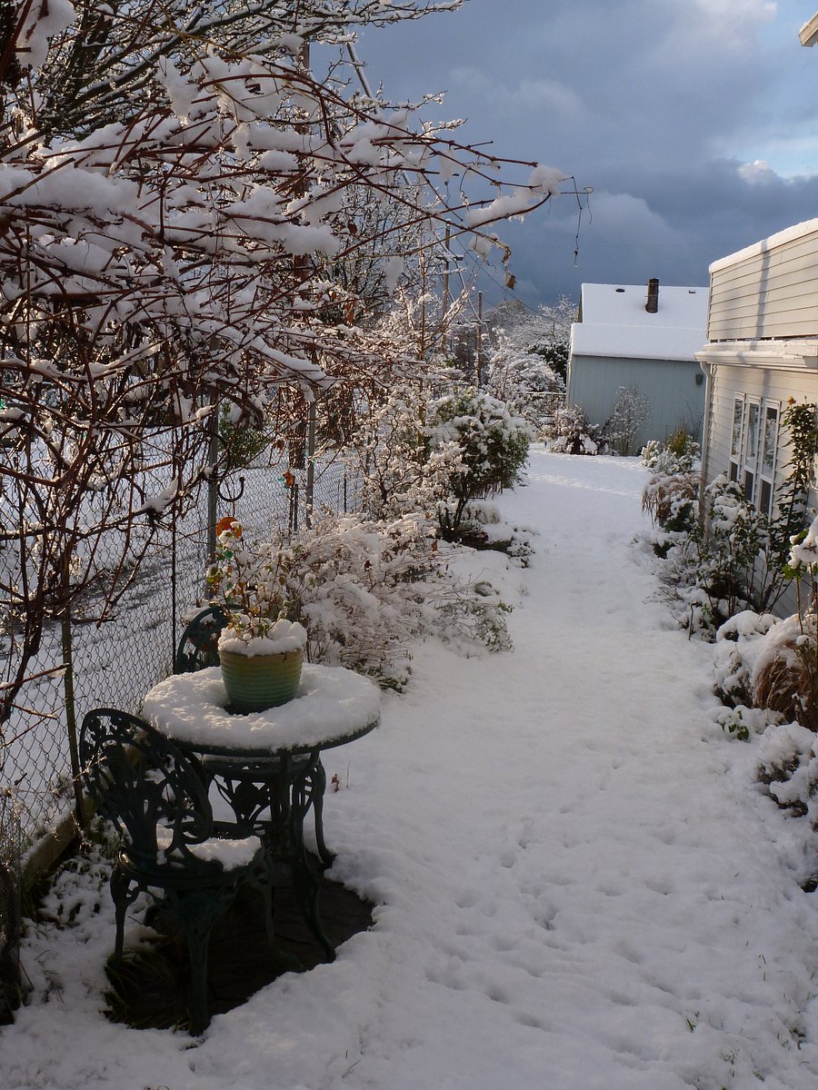 Yes! It does snow in Seattle sometimes