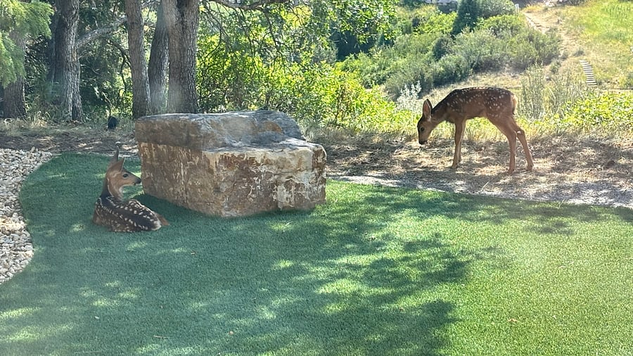 Wildlife & birdwatching add to the ambiance.