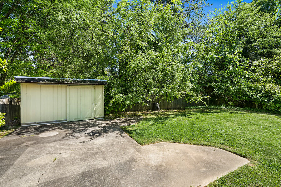Back yard