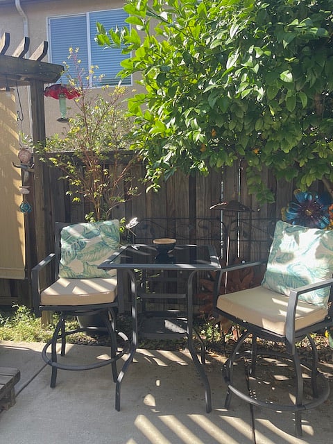 Shaded outdoor seating with Meyer lemon tree