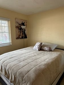 Furnished Finder property 951590_1 photo 19