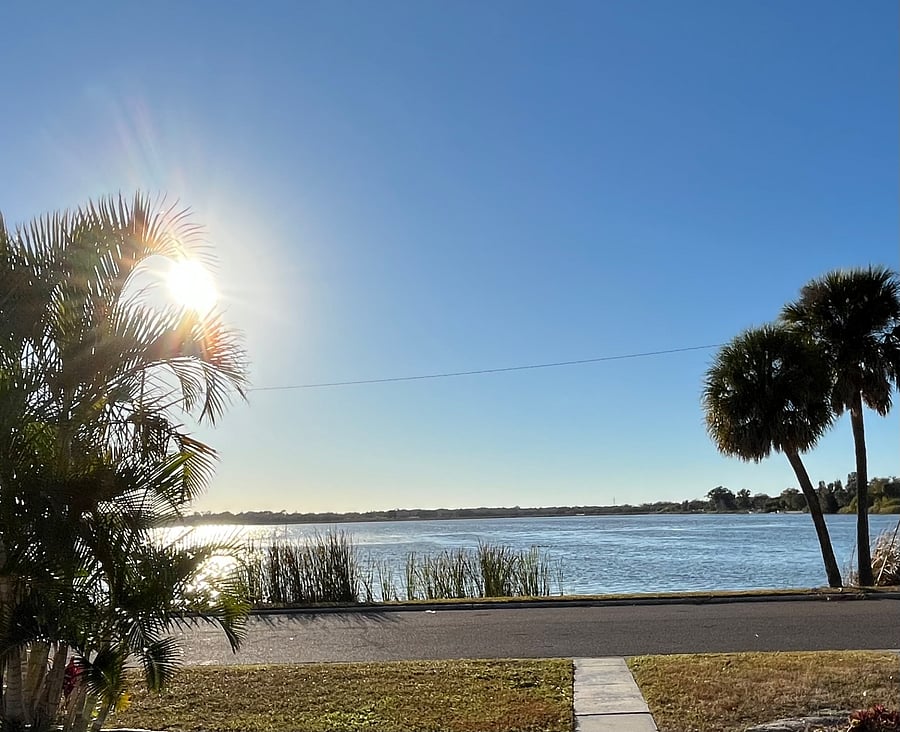 Waterfront Property
Wildlife Preserve
Famous for birdwatching