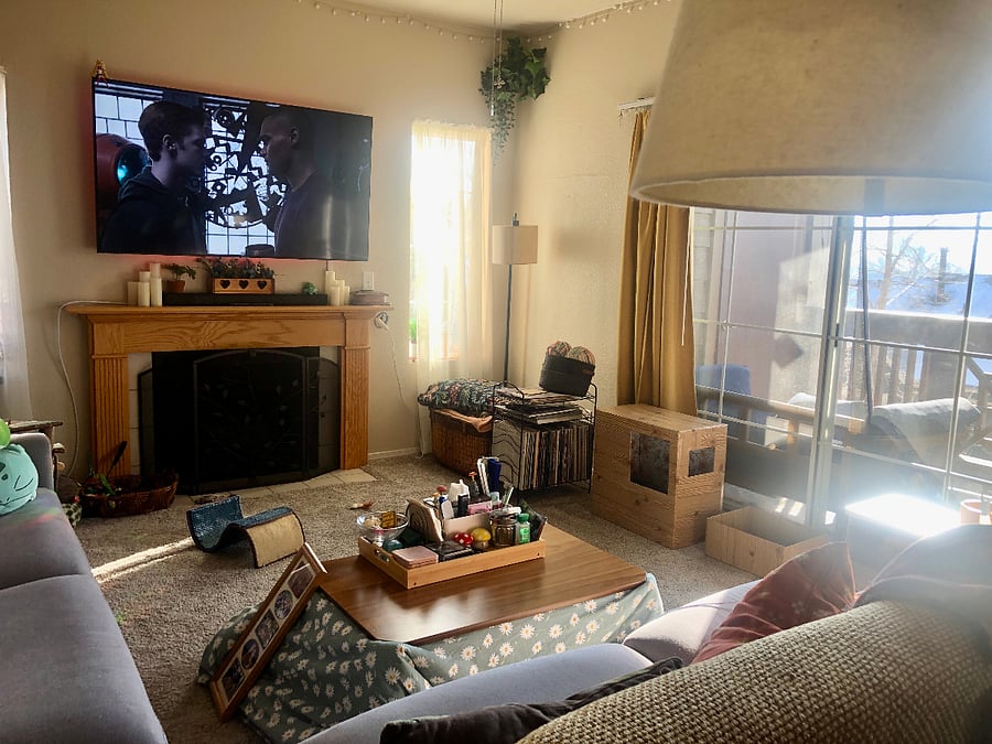 Living Room with working gas fireplace