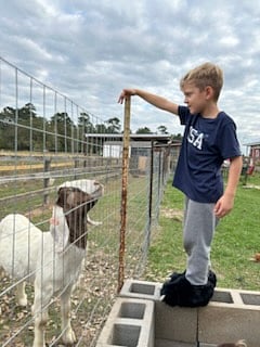 Furnished Finder property 951792_1 photo 28