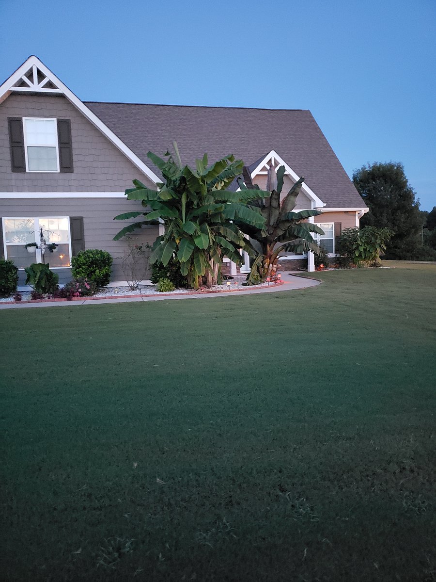 Furnished Finder property 951797_1 photo 9