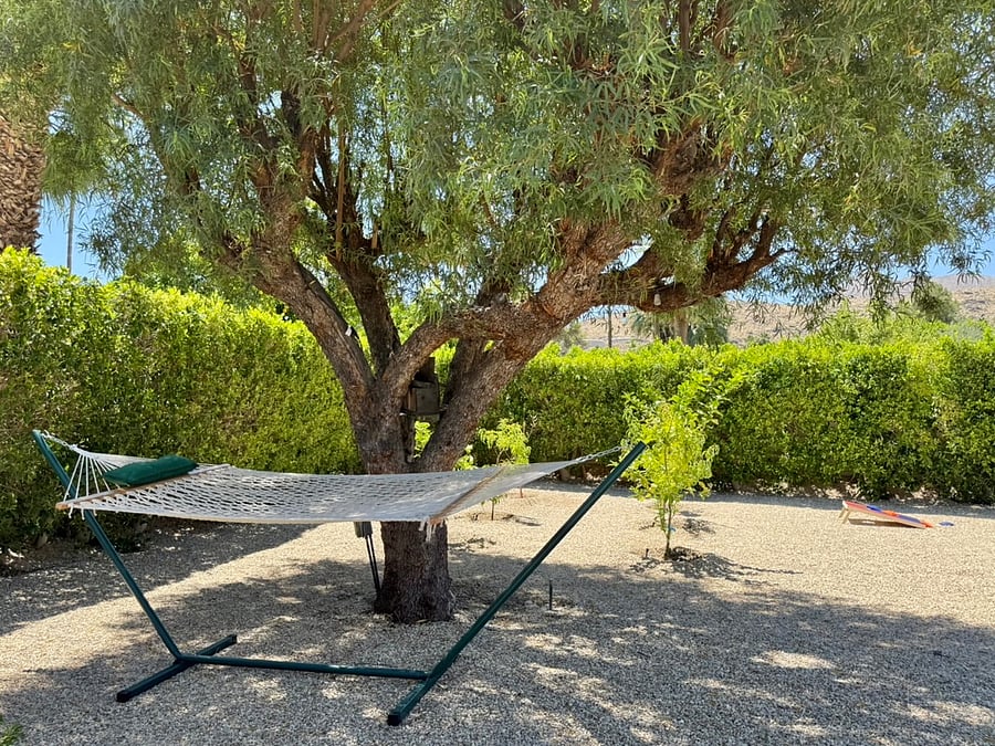 Hammock for napping.
