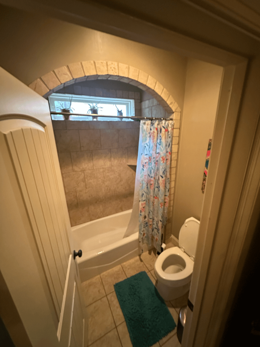Downstairs shower/toilet area