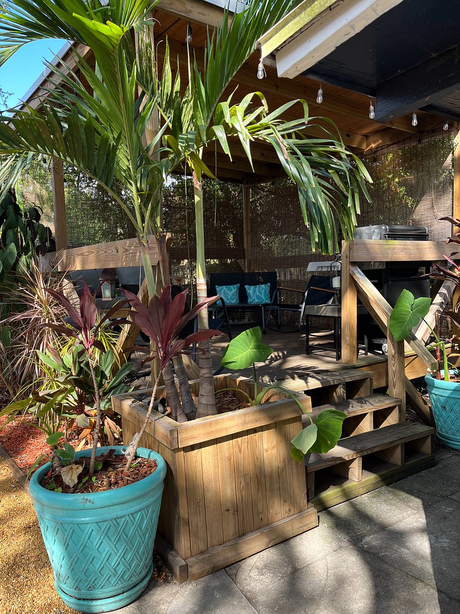 Back Deck