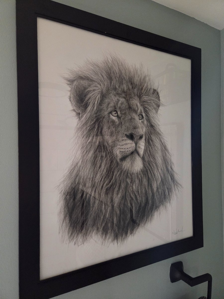 Original sketch of South African Lion