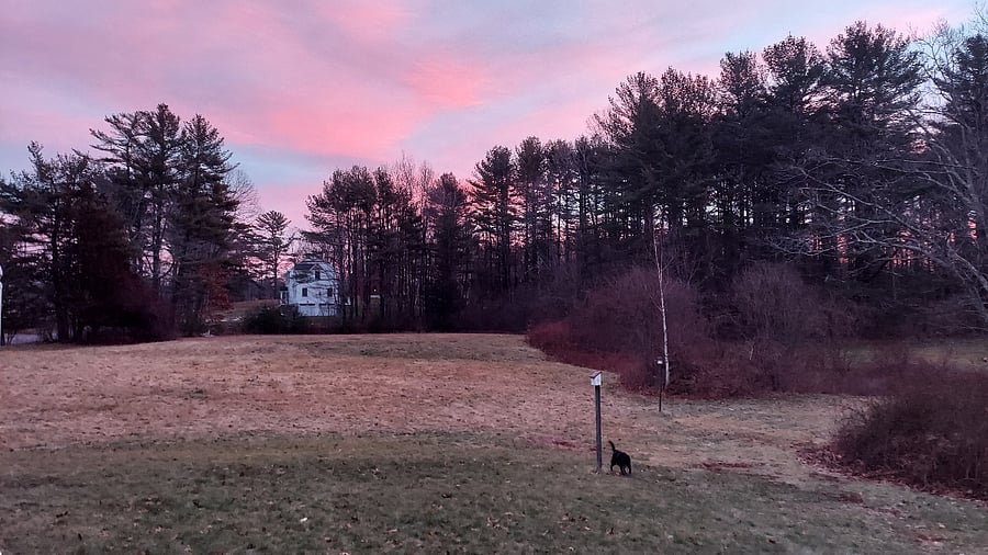 sunset over the front field