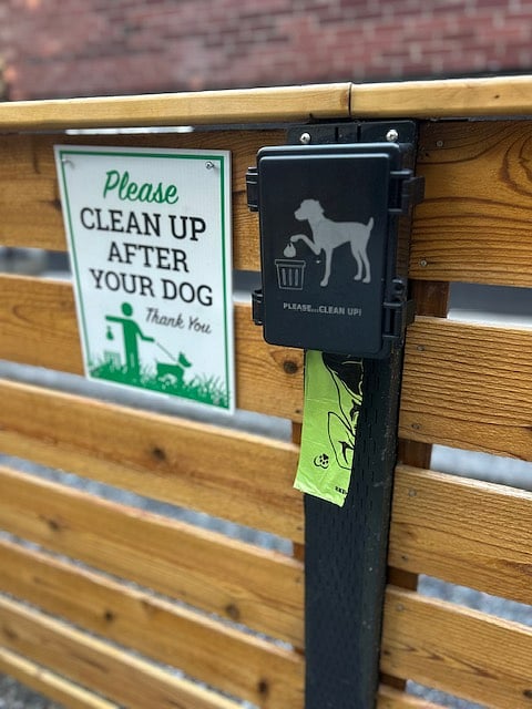 We are pet friendly!