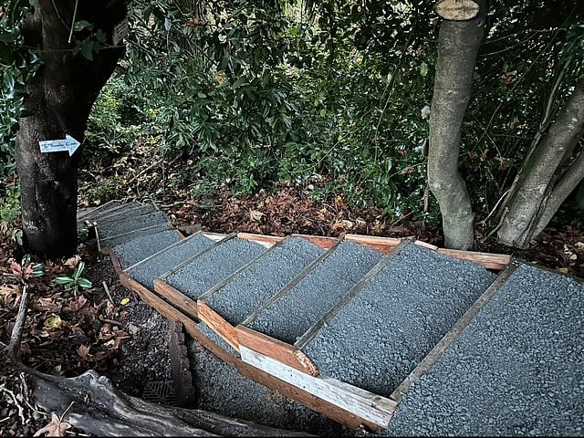Stairway that leads to the forest, Thornton Creek and our Yoga/Forest Bathing platform