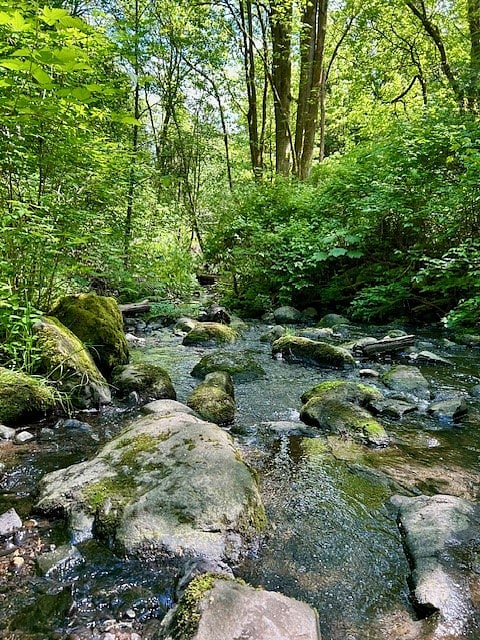 17 miles of hiking trails at Thornton Creek watershed