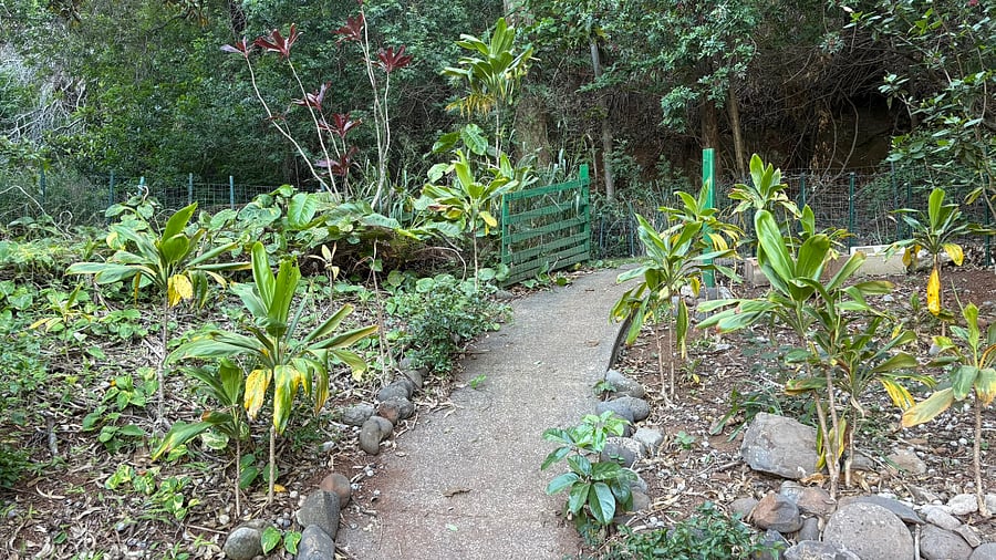 Front Entrance Walk Way